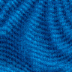 Brunnera blue