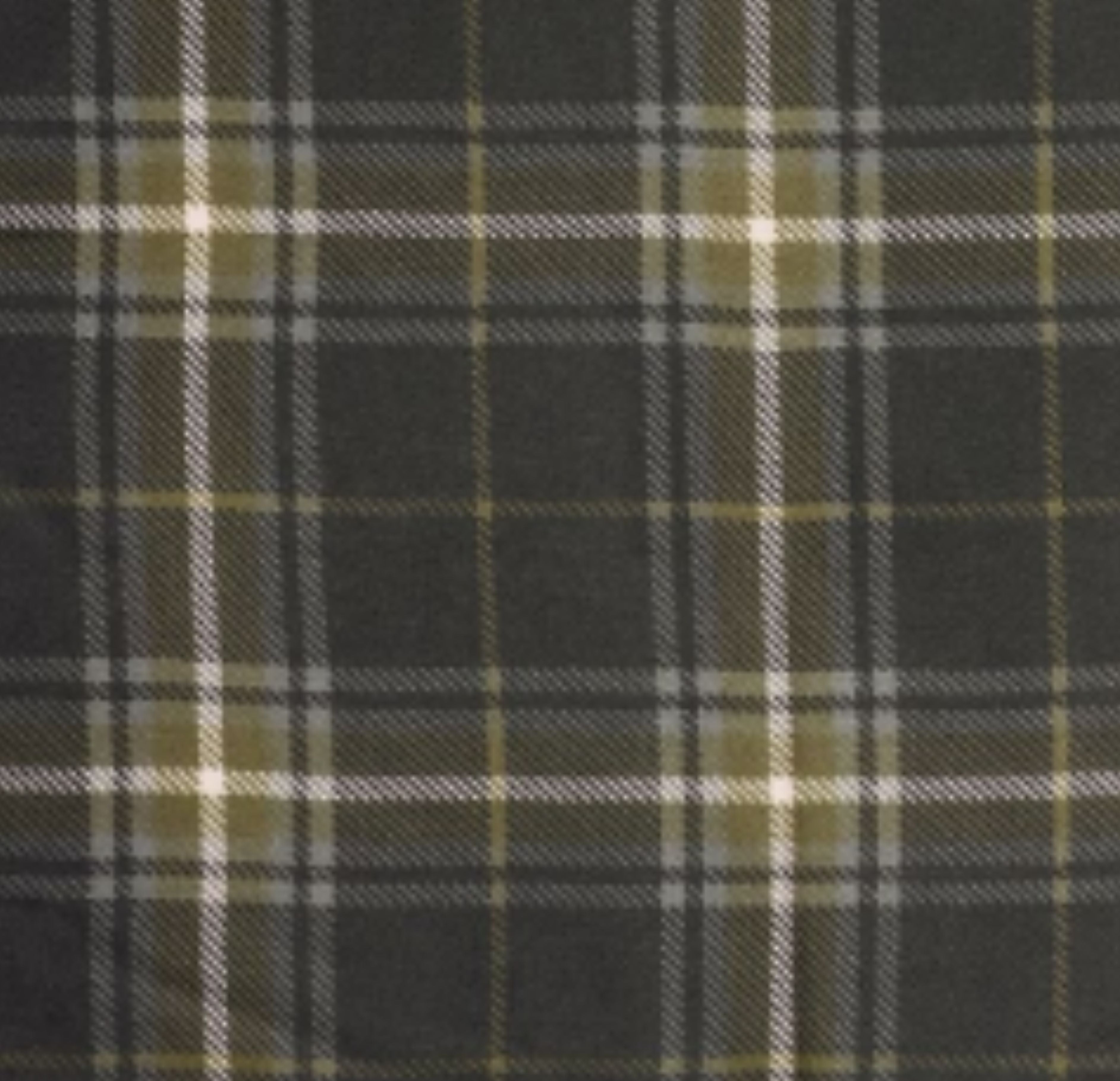 Charbon/olive