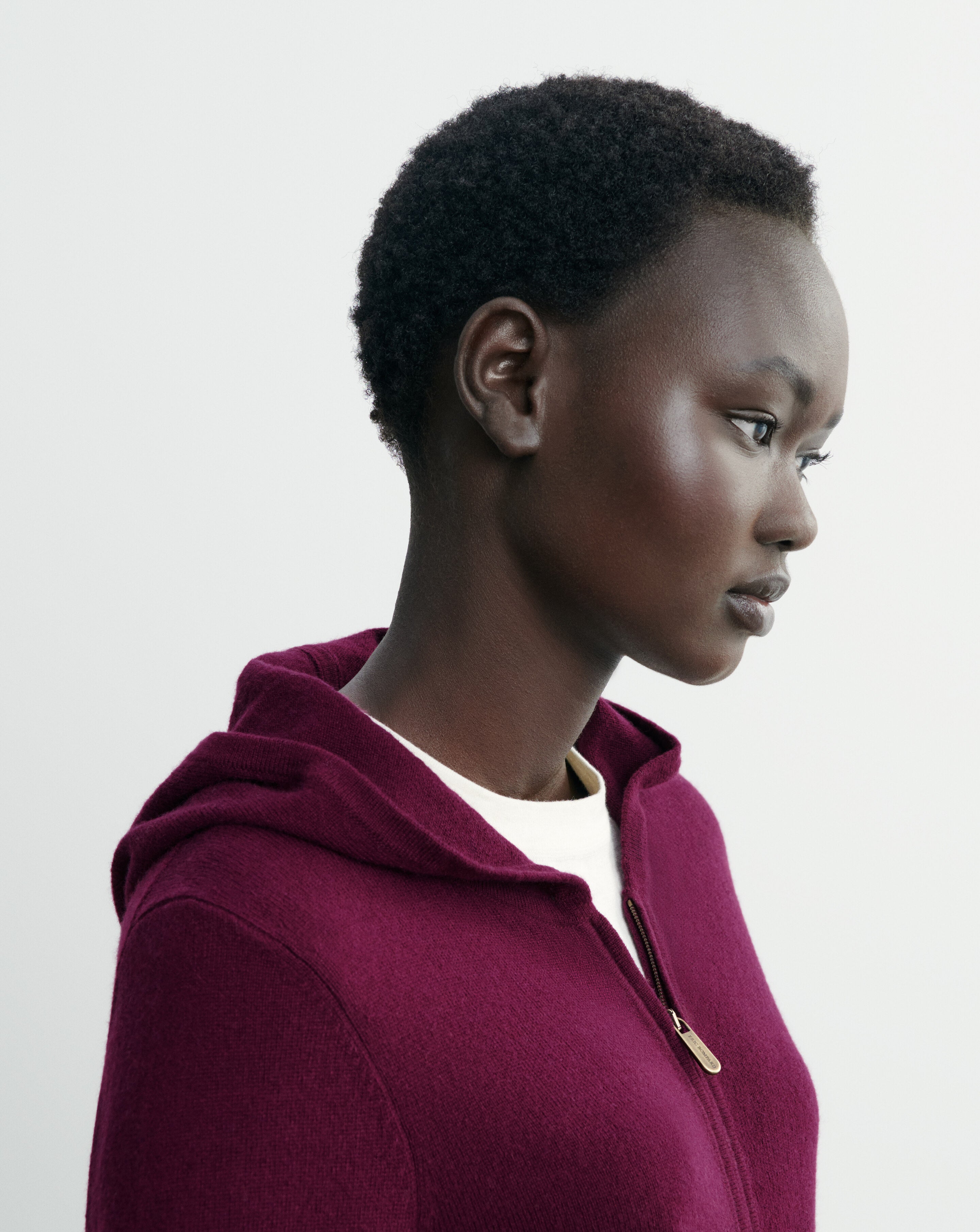 Pull à capuche zippé-PRUNE DAMAS-100% cachemire