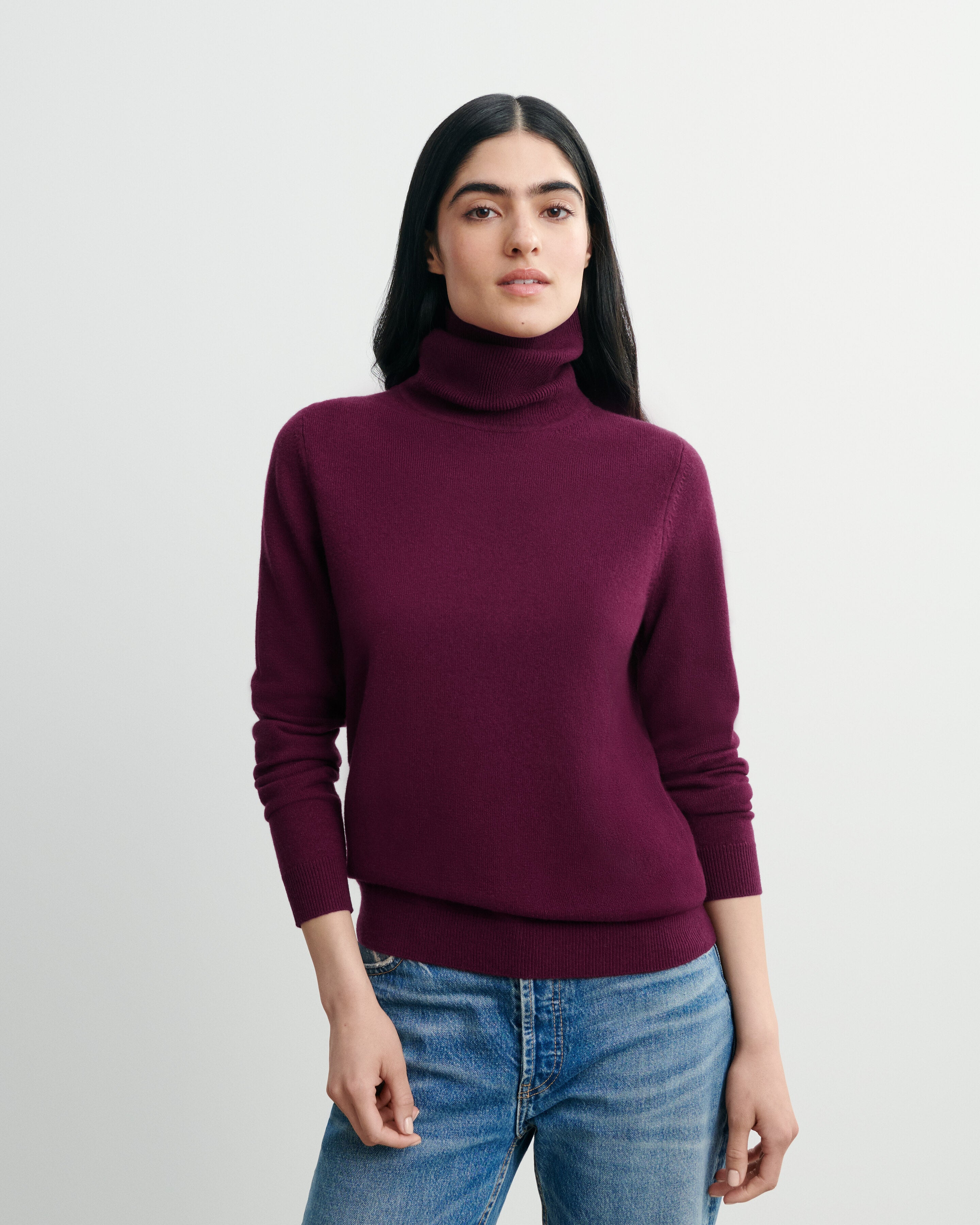 Pull col roulé classique-PRUNE DAMAS-100% cachemire