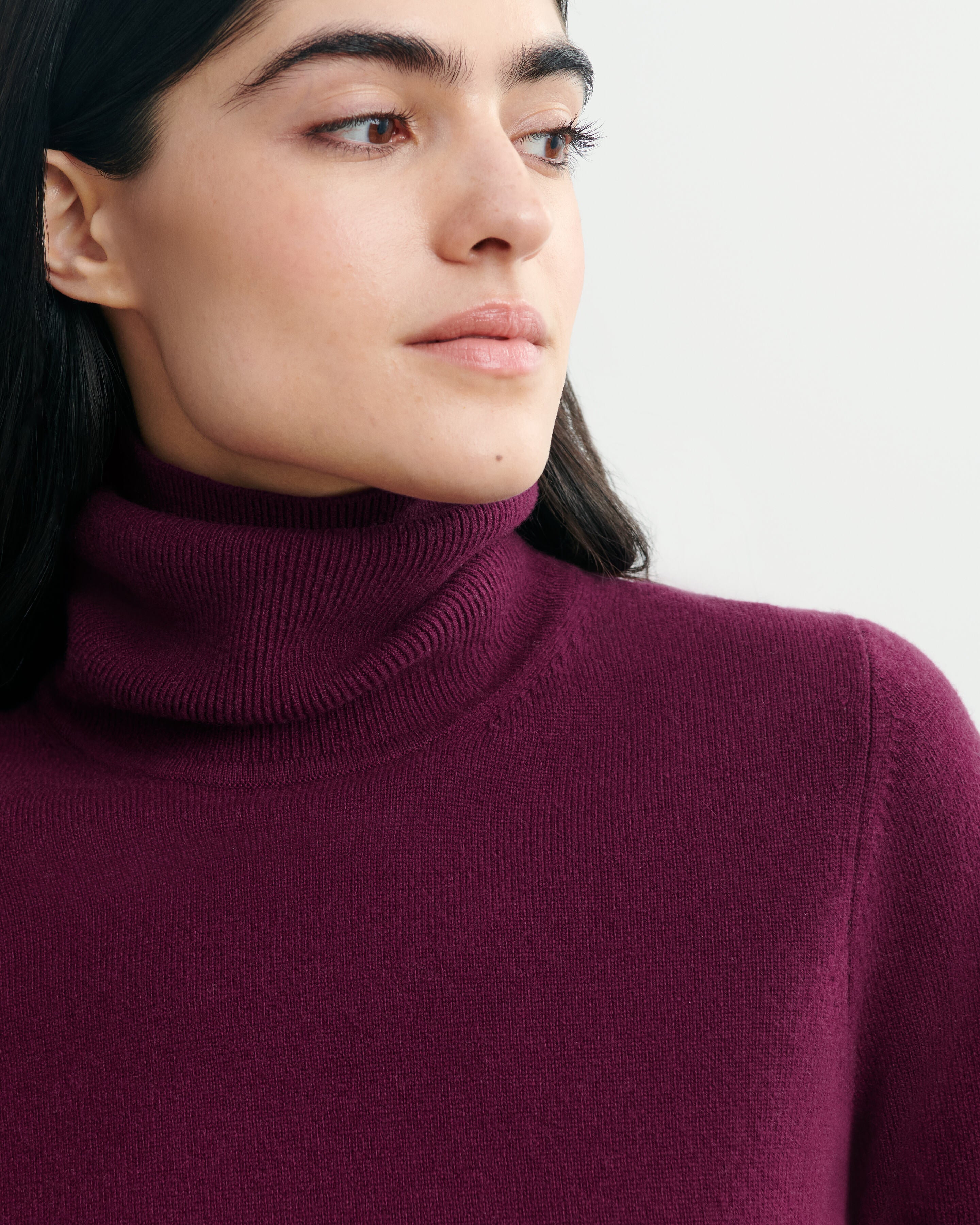 Pull col roulé classique-PRUNE DAMAS-100% cachemire