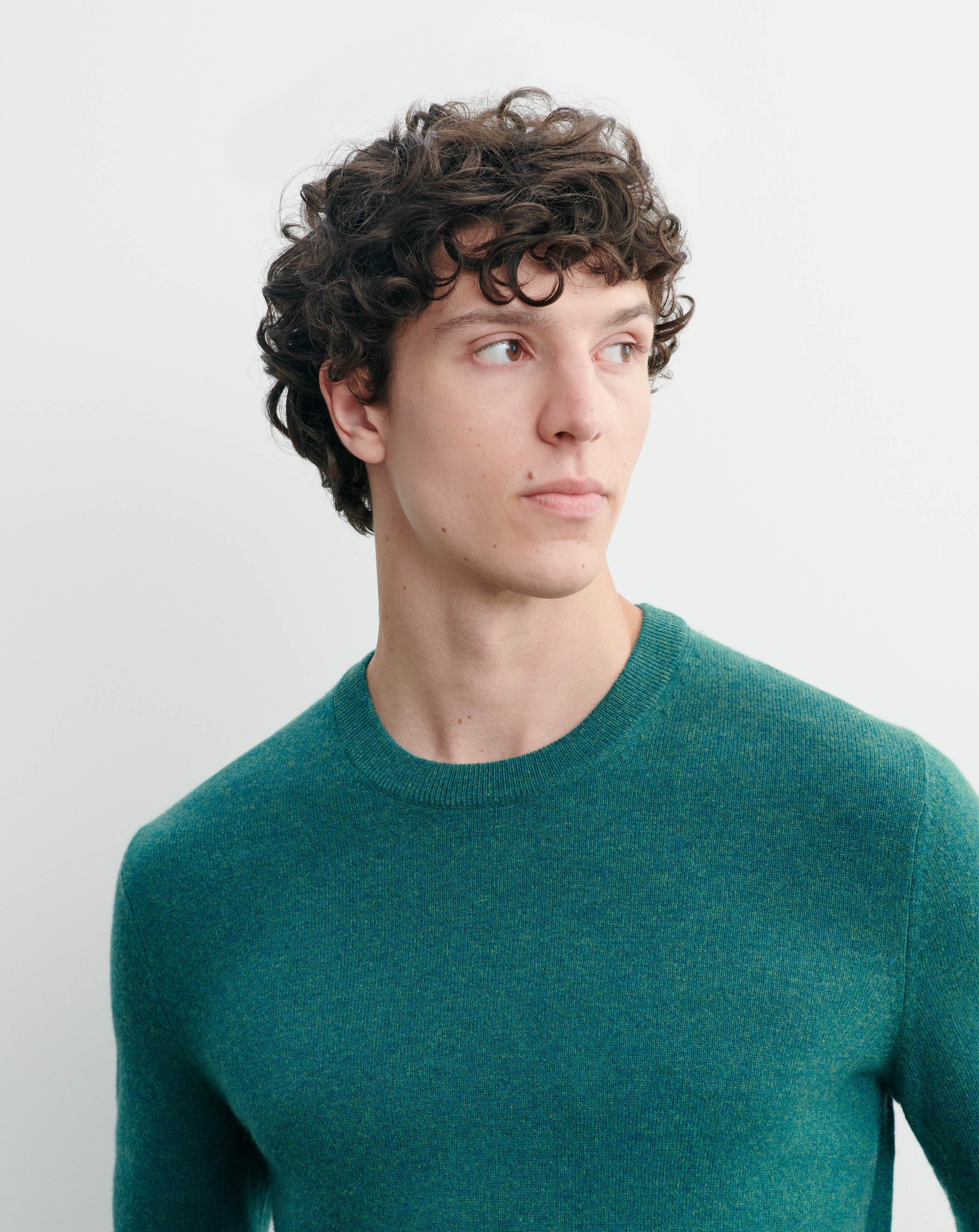 Pull col rond classique-CEDRE-100% cachemire