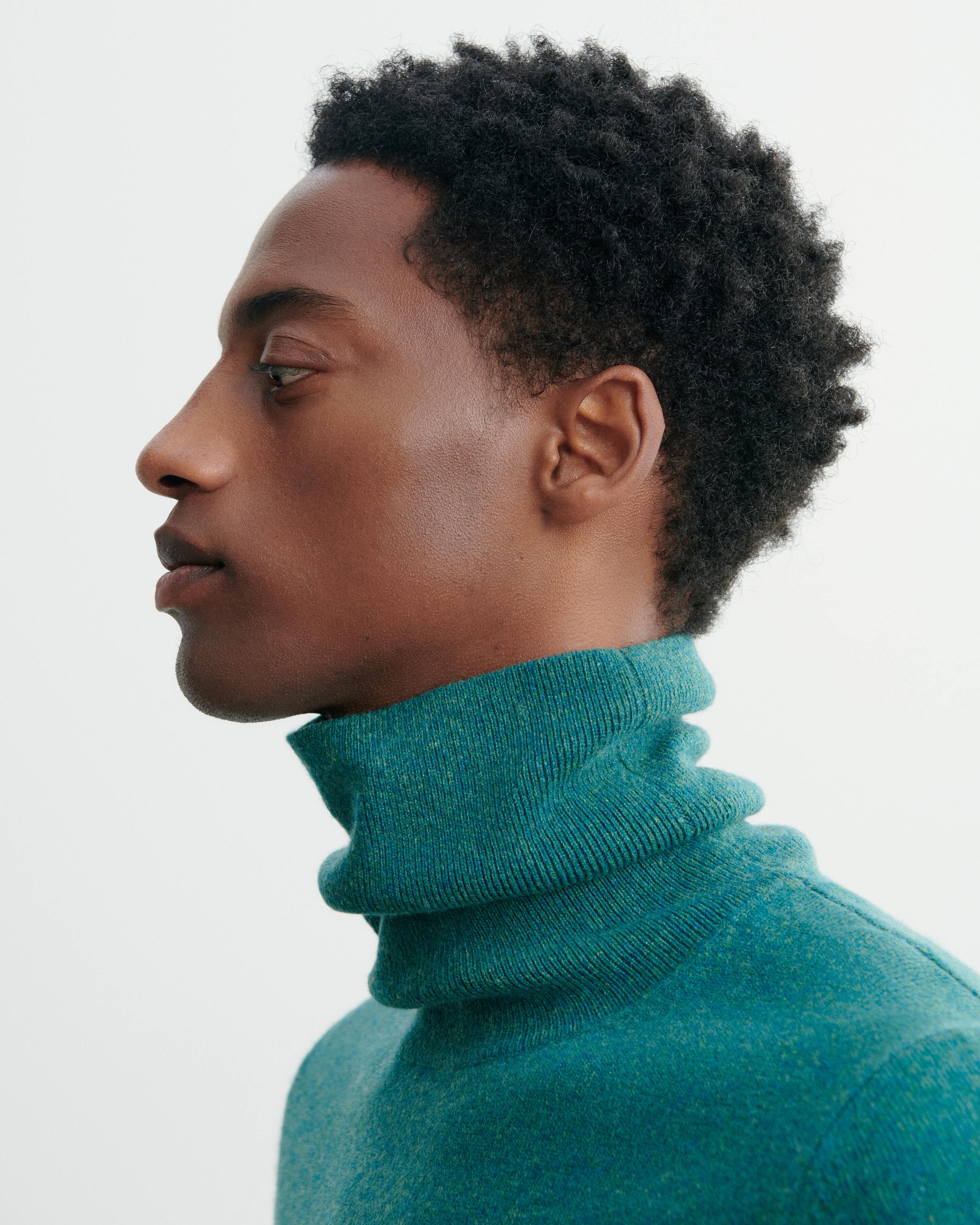 Pull col roulé classique-CEDRE-100% cachemire