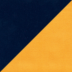 Navy blue/marigold